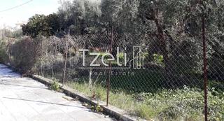 Οικόπεδο 300 τ.μ. για πώληση, Αχαΐα, Μεσσατίδα-thumb-4