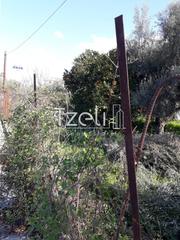 Οικόπεδο 300 τ.μ. για πώληση, Αχαΐα, Μεσσατίδα-thumb-6