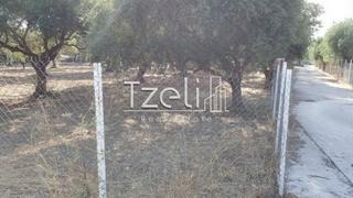 Οικόπεδο 300 τ.μ. για πώληση, Αχαΐα, Μεσσατίδα-thumb-8