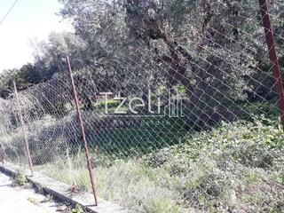 Οικόπεδο 300 τ.μ. για πώληση, Αχαΐα, Μεσσατίδα-thumb-9
