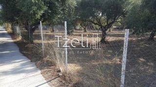 Οικόπεδο 300 τ.μ. για πώληση, Αχαΐα, Μεσσατίδα-thumb-10