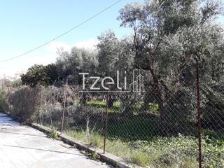 Οικόπεδο 300 τ.μ. για πώληση, Αχαΐα, Μεσσατίδα-thumb-11
