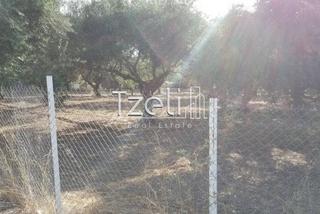 Οικόπεδο 300 τ.μ. για πώληση, Αχαΐα, Μεσσατίδα-thumb-12