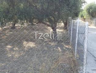 Οικόπεδο 300 τ.μ. για πώληση, Αχαΐα, Μεσσατίδα-thumb-15