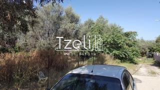 Οικόπεδο 300 τ.μ. για πώληση, Αχαΐα, Μεσσατίδα-thumb-16
