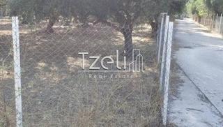 Οικόπεδο 300 τ.μ. για πώληση, Αχαΐα, Μεσσατίδα-thumb-17