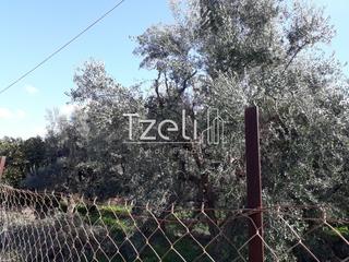 Οικόπεδο 300 τ.μ. για πώληση, Αχαΐα, Μεσσατίδα-thumb-18