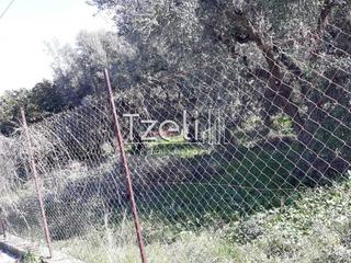 Οικόπεδο 300 τ.μ. για πώληση, Αχαΐα, Μεσσατίδα-thumb-19