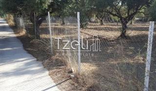 Οικόπεδο 300 τ.μ. για πώληση, Αχαΐα, Μεσσατίδα-thumb-20
