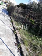 Οικόπεδο 300 τ.μ. για πώληση, Αχαΐα, Μεσσατίδα-thumb-21