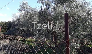 Οικόπεδο 300 τ.μ. για πώληση, Αχαΐα, Μεσσατίδα-thumb-22