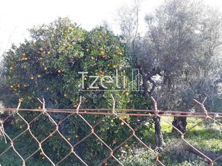 Οικόπεδο 300 τ.μ. για πώληση, Αχαΐα, Μεσσατίδα-thumb-24