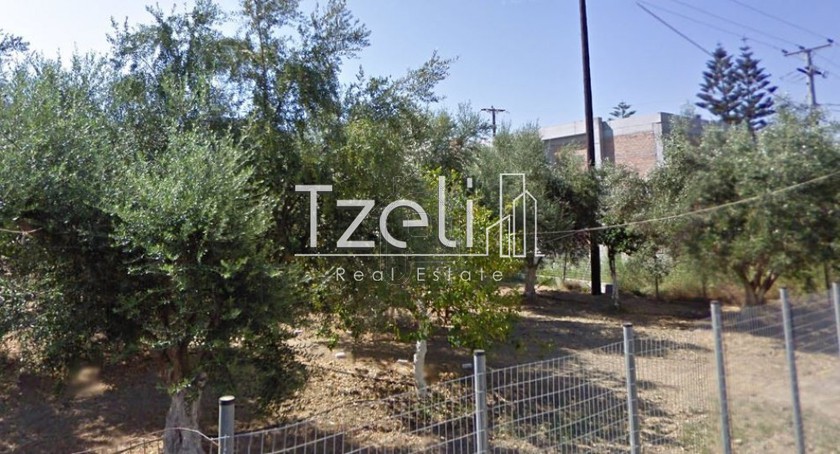 Land plot 445sqm for sale-Messatida » Demenika