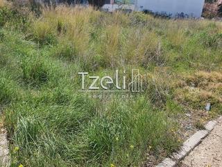 Οικόπεδο 2.000 τ.μ. για πώληση, Αχαΐα, Ωλένια-thumb-2