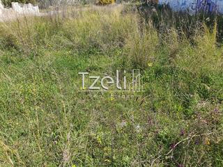 Οικόπεδο 2.000 τ.μ. για πώληση, Αχαΐα, Ωλένια-thumb-17
