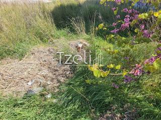 Οικόπεδο 2.000 τ.μ. για πώληση, Αχαΐα, Ωλένια-thumb-18
