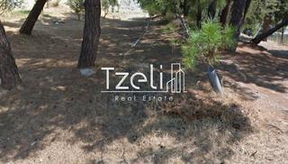 Οικόπεδο 400 τ.μ. για πώληση, Αχαΐα, Πάτρα-thumb-20
