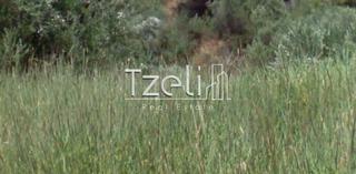 Οικόπεδο 400 τ.μ. για πώληση, Αχαΐα, Πάτρα-thumb-25