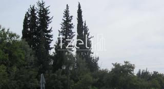 Οικόπεδο 8.000 τ.μ. για πώληση, Αχαΐα, Μεσσατίδα-thumb-6