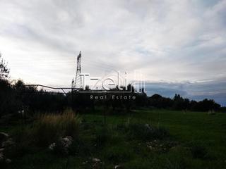 Οικόπεδο 8.000 τ.μ. για πώληση, Αχαΐα, Μεσσατίδα-thumb-8
