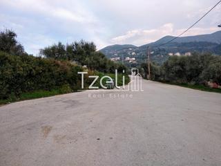 Οικόπεδο 8.000 τ.μ. για πώληση, Αχαΐα, Μεσσατίδα-thumb-10
