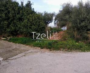 Οικόπεδο 8.000 τ.μ. για πώληση, Αχαΐα, Μεσσατίδα-thumb-11