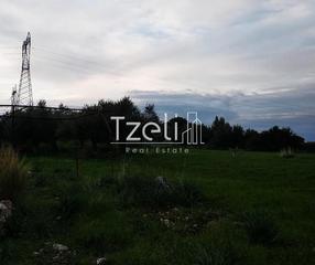 Οικόπεδο 8.000 τ.μ. για πώληση, Αχαΐα, Μεσσατίδα-thumb-12