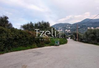 Οικόπεδο 8.000 τ.μ. για πώληση, Αχαΐα, Μεσσατίδα-thumb-14