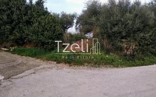 Οικόπεδο 8.000 τ.μ. για πώληση, Αχαΐα, Μεσσατίδα-thumb-15