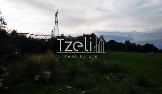 Οικόπεδο 8.000 τ.μ. για πώληση, Αχαΐα, Μεσσατίδα-thumb-16