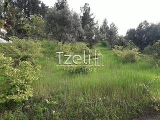 Οικόπεδο 8.000 τ.μ. για πώληση, Αχαΐα, Μεσσατίδα-thumb-27