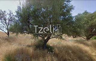 Οικόπεδο 500 τ.μ. για πώληση, Αχαΐα, Μεσσατίδα-thumb-11