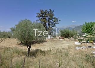 Οικόπεδο 500 τ.μ. για πώληση, Αχαΐα, Μεσσατίδα-thumb-13