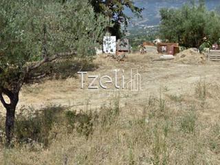 Οικόπεδο 500 τ.μ. για πώληση, Αχαΐα, Μεσσατίδα-thumb-19