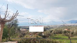 Οικόπεδο 520 τ.μ. για πώληση, Αχαΐα, Μεσσατίδα-thumb-5