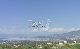 Οικόπεδο 520 τ.μ. για πώληση, Αχαΐα, Μεσσατίδα-thumb-8