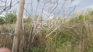 Οικόπεδο 520 τ.μ. για πώληση, Αχαΐα, Μεσσατίδα-thumb-9