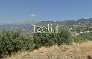 Οικόπεδο 520 τ.μ. για πώληση, Αχαΐα, Μεσσατίδα-thumb-13