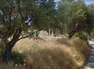 Οικόπεδο 520 τ.μ. για πώληση, Αχαΐα, Μεσσατίδα-thumb-19