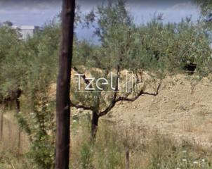 Οικόπεδο 520 τ.μ. για πώληση, Αχαΐα, Μεσσατίδα-thumb-22