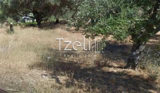 Οικόπεδο 520 τ.μ. για πώληση, Αχαΐα, Μεσσατίδα-thumb-26