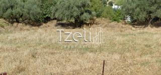 Οικόπεδο 520 τ.μ. για πώληση, Αχαΐα, Μεσσατίδα-thumb-27