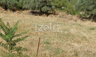 Οικόπεδο 520 τ.μ. για πώληση, Αχαΐα, Μεσσατίδα-thumb-28