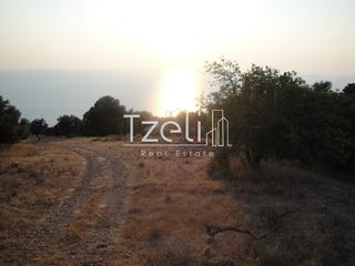 Οικόπεδο 7.052 τ.μ. για πώληση, Ν. Λευκάδας, Λευκάδα-thumb-1