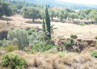 Οικόπεδο 7.052 τ.μ. για πώληση, Ν. Λευκάδας, Λευκάδα-thumb-11