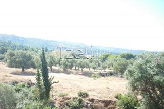 Οικόπεδο 7.052 τ.μ. για πώληση, Ν. Λευκάδας, Λευκάδα-thumb-15