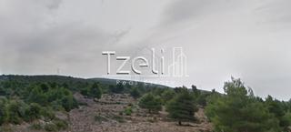 Οικόπεδο 7.052 τ.μ. για πώληση, Ν. Λευκάδας, Λευκάδα-thumb-17
