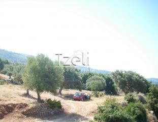 Οικόπεδο 7.052 τ.μ. για πώληση, Ν. Λευκάδας, Λευκάδα-thumb-21