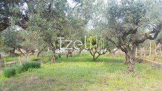 Οικόπεδο 395 τ.μ. για πώληση, Αχαΐα, Πάτρα-thumb-8
