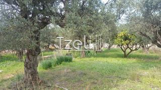 Οικόπεδο 395 τ.μ. για πώληση, Αχαΐα, Πάτρα-thumb-14